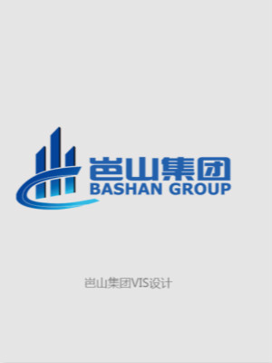 岜山集團品牌形象LOGO/VI設(shè)計